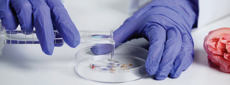 Wellous R&D lab formulation work